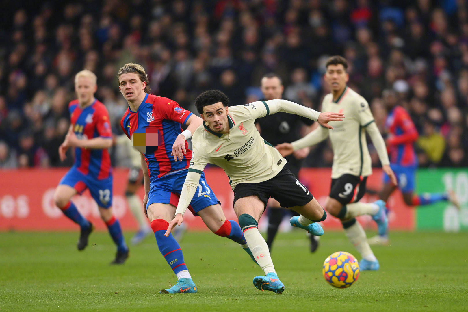 表现可圈可 表现可圈可